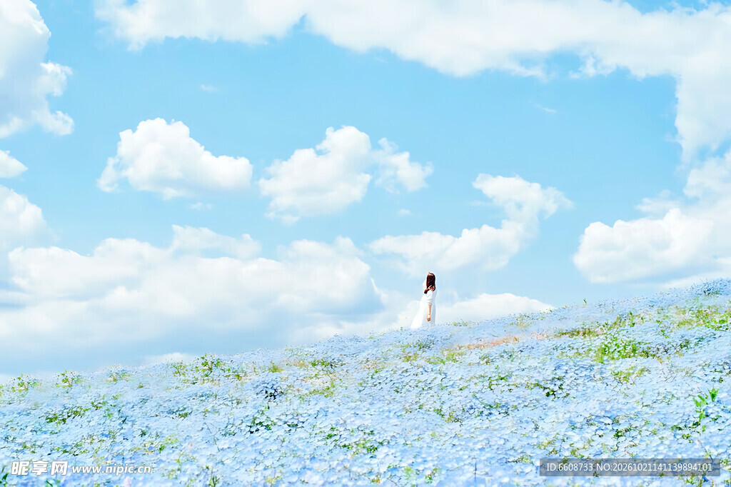 蓝天白云下的花田少女
