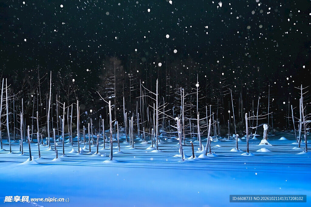 雪夜林间雪景