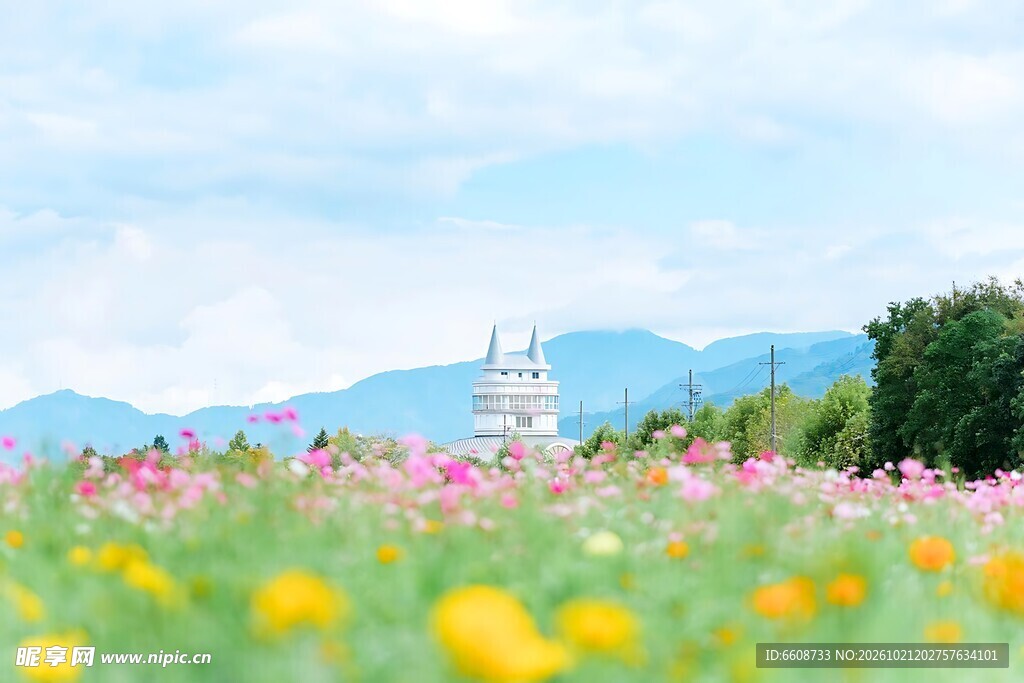 郊野花海田园风光