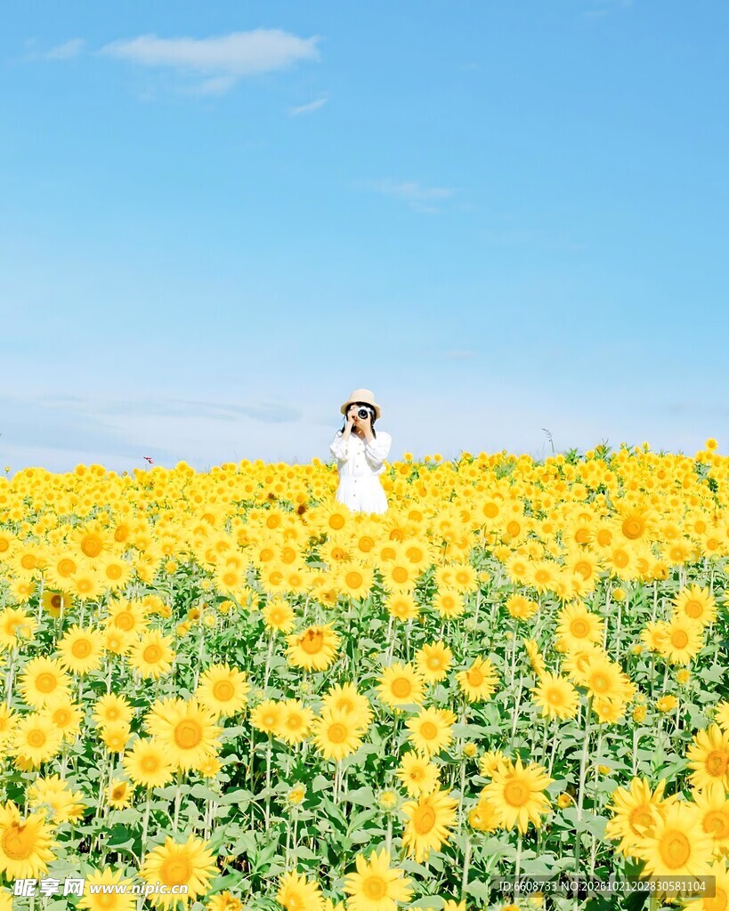 向日葵花田里的少女