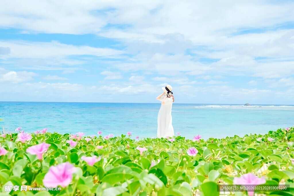 海边花田白衣少女