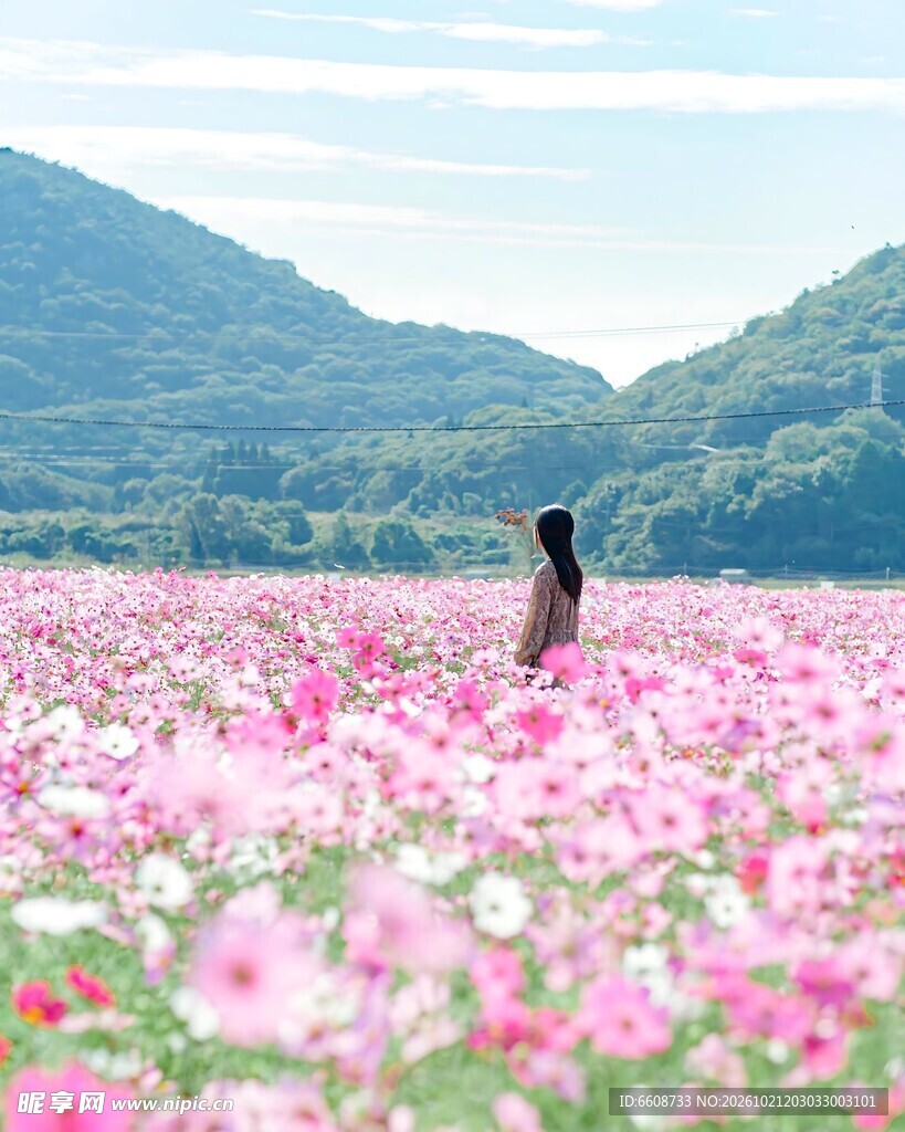 花海中眺望远山的少女