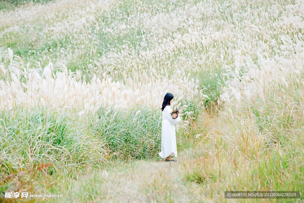 郊野白衣女子静立