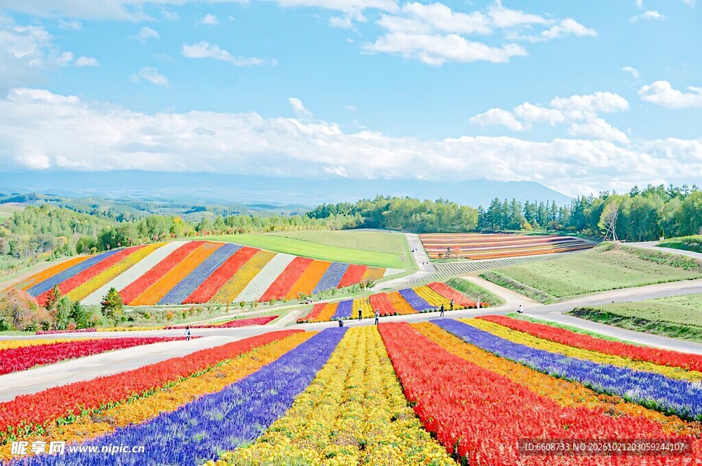 七彩花田田园美景