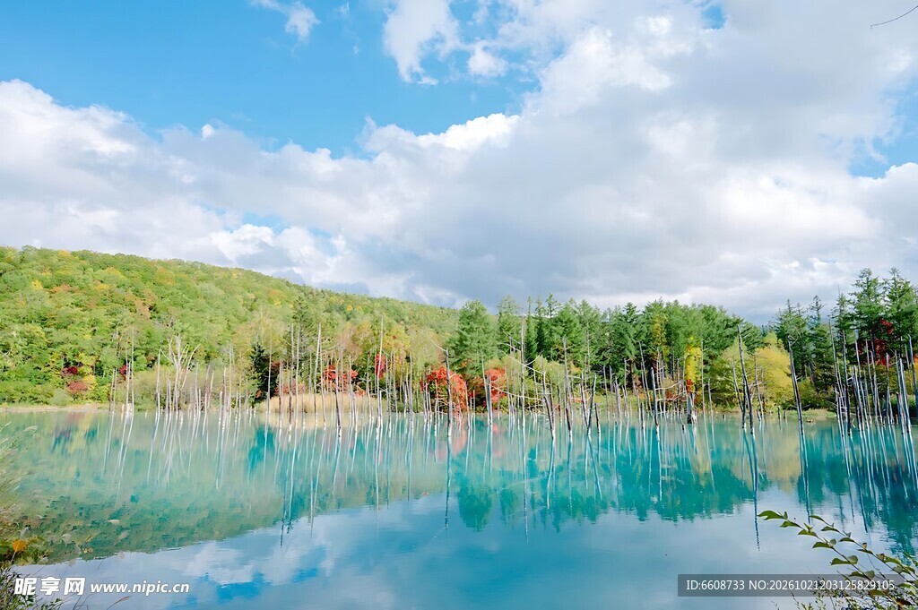 湖畔晴日自然美景