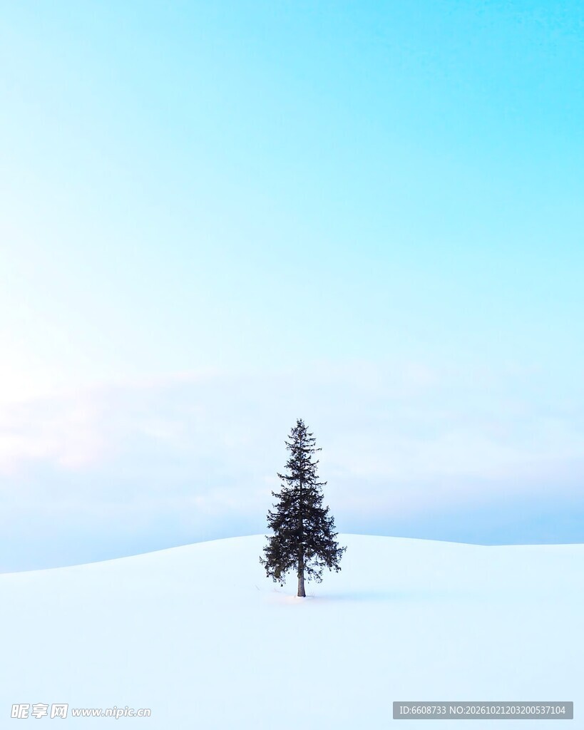 雪原孤树冬日雪景