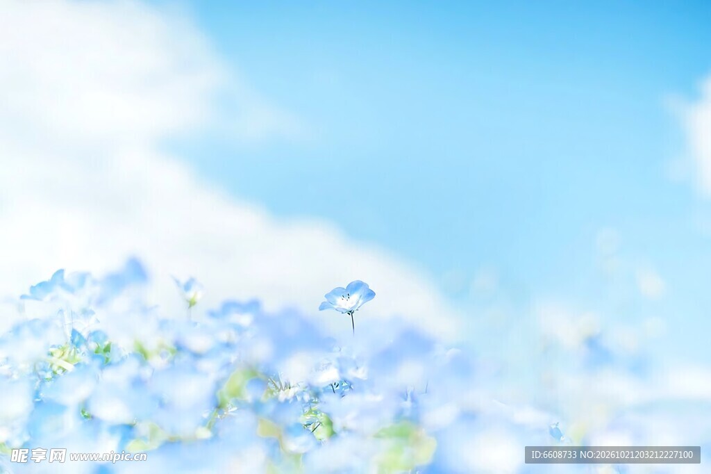 清新蓝天白云晴空