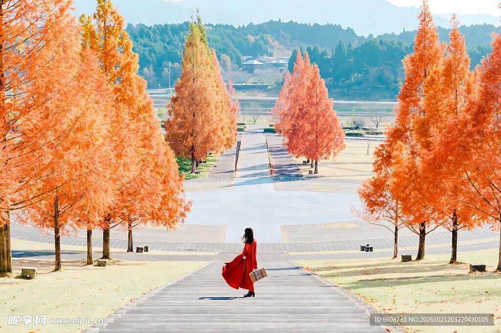 秋日红杉步道红衣女子