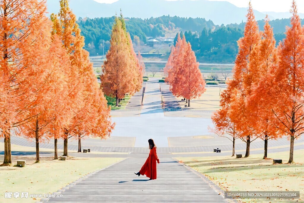 秋日红杉步道红衣女子