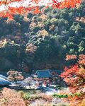 秋山古寺红叶盛景