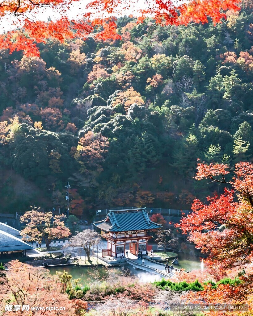 秋山古寺红叶盛景