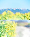 春日郊野山湖风光