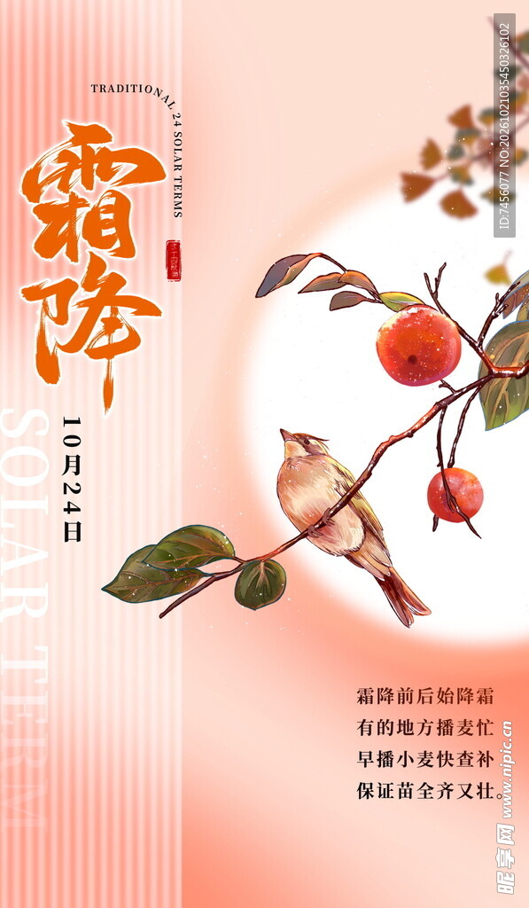 霜降节气国风手绘海报