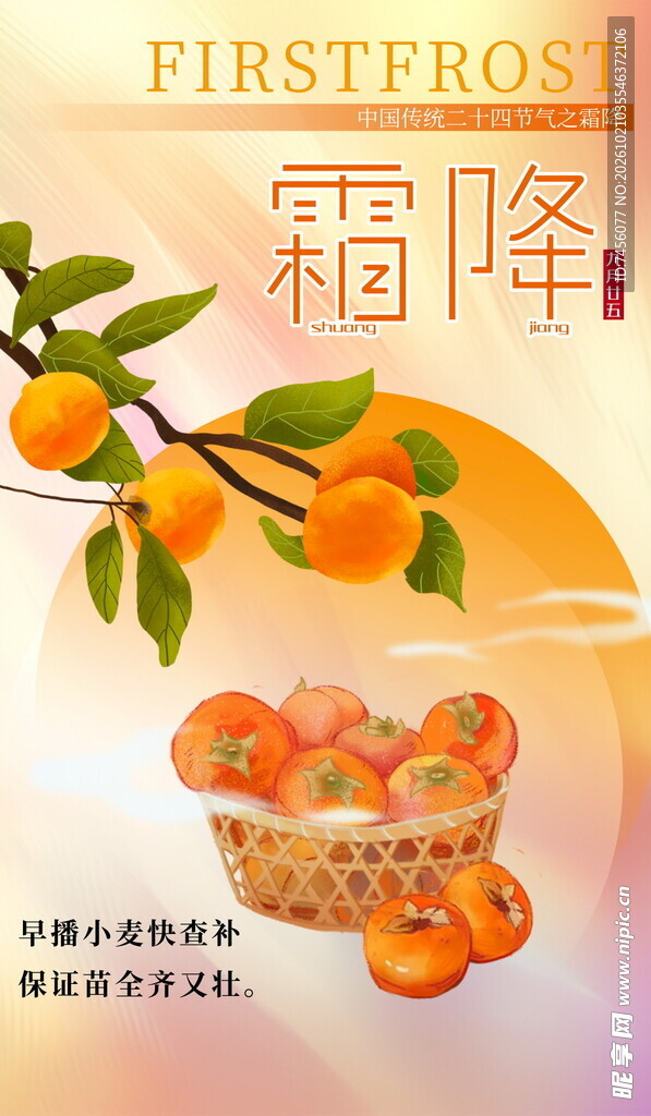 霜降节气柿子手绘海报