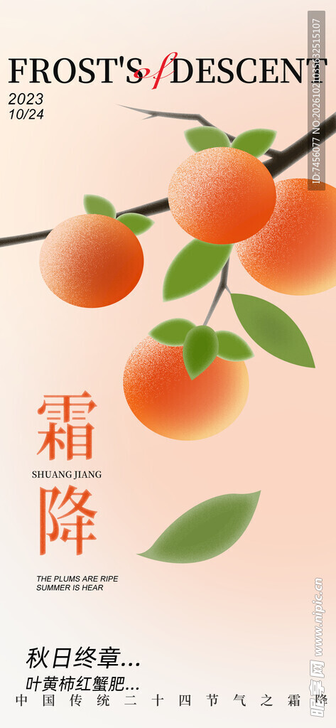 霜降柿子节气创意海报