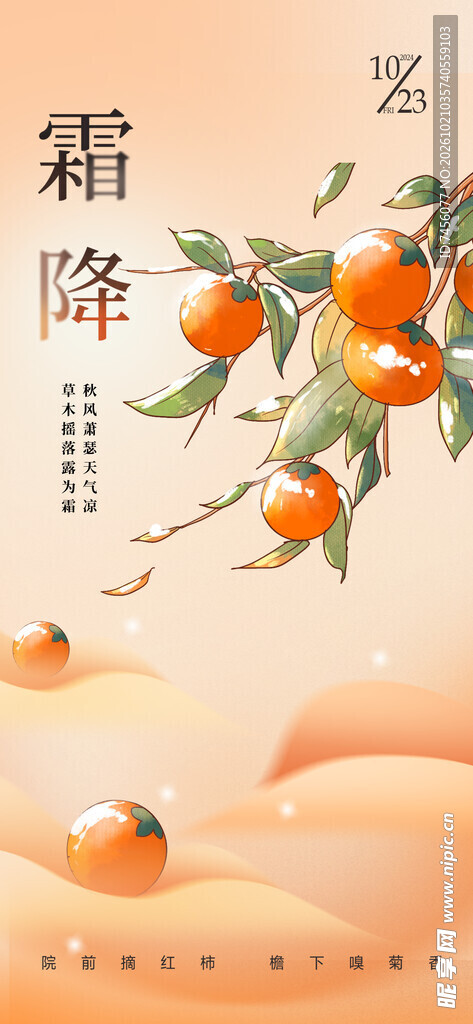 霜降柿子节气海报