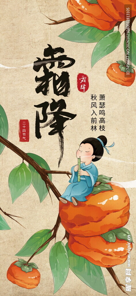 霜降国风柿子创意插画