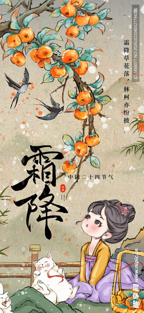 霜降古风柿子插画