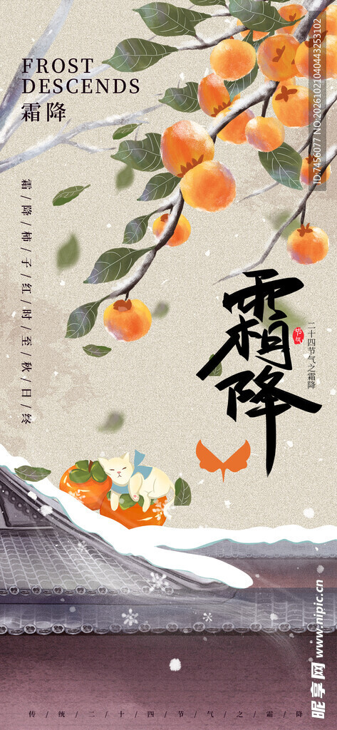 霜降节气柿子国风插画