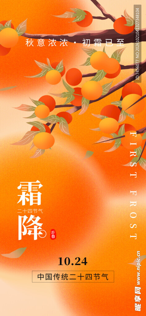 霜降柿子节气海报