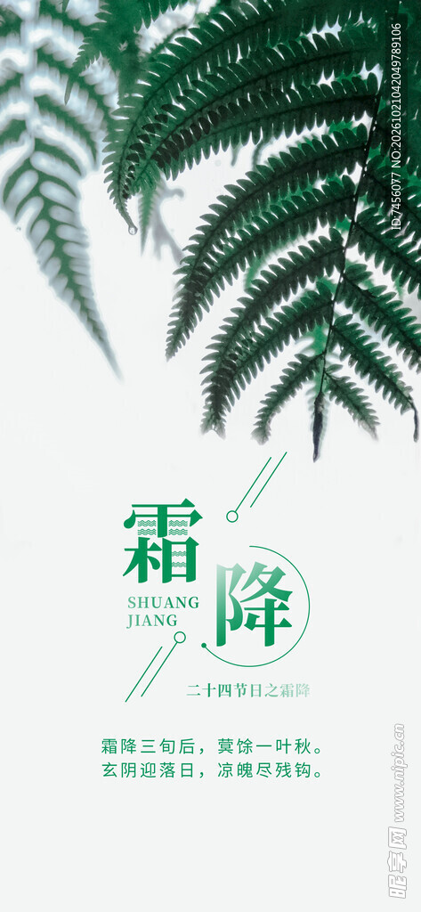 霜降简约节气海报