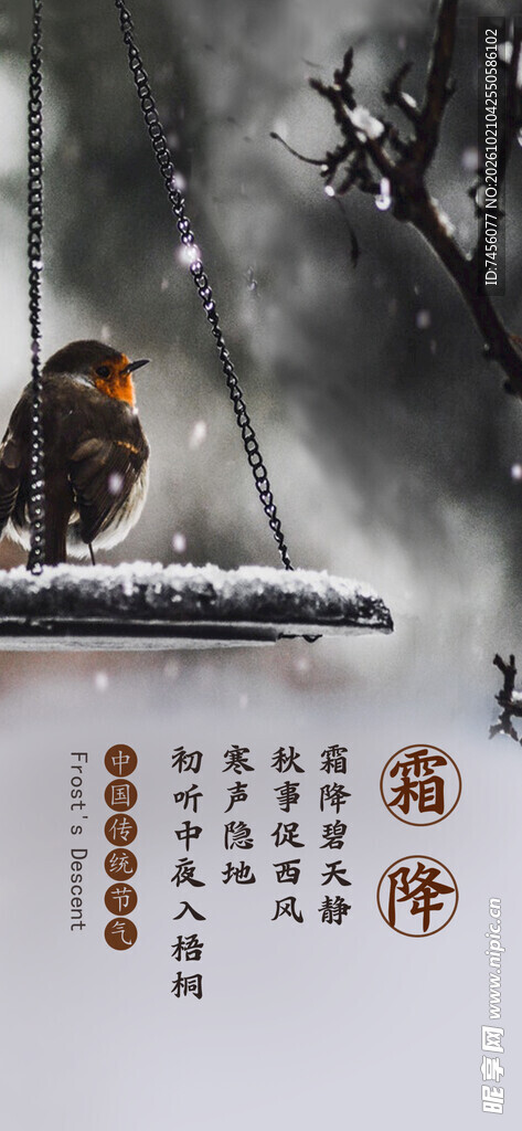 猫冬雪景国风插画