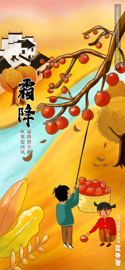 霜降摘柿子民俗插画
