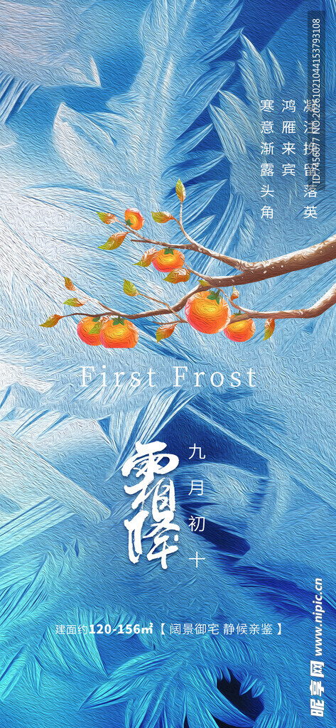 霜降红柿节气海报