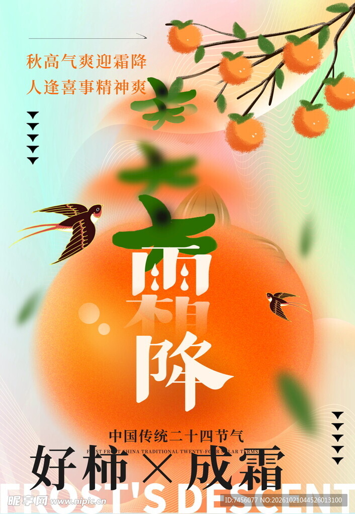 霜降节气好柿主题海报
