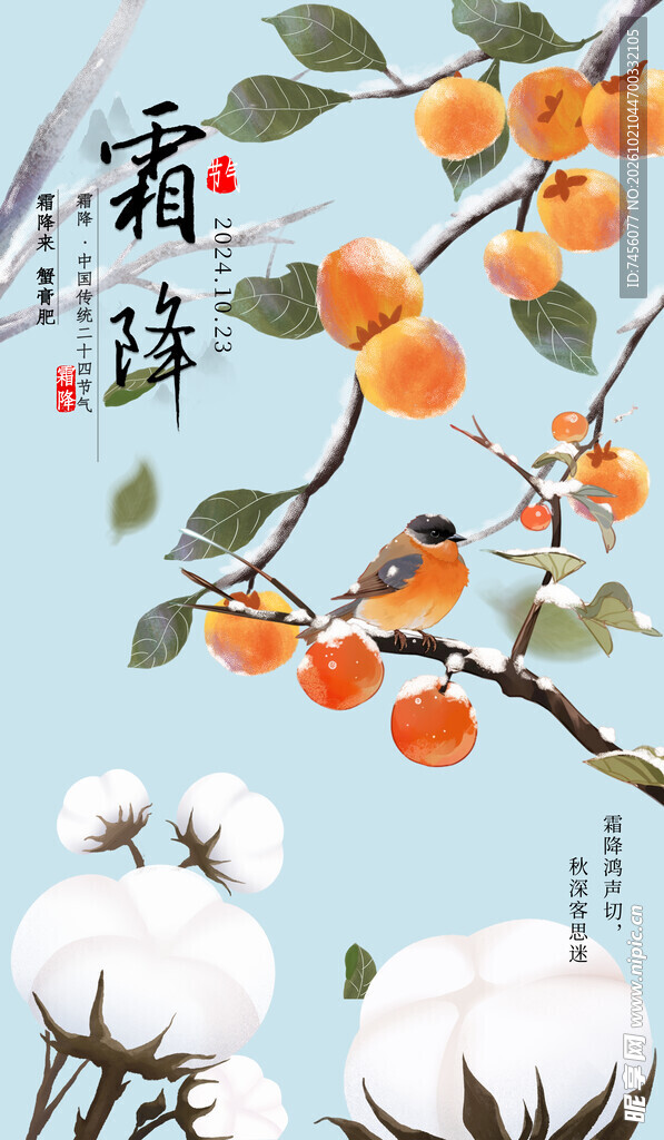 霜降节气柿子插画海报