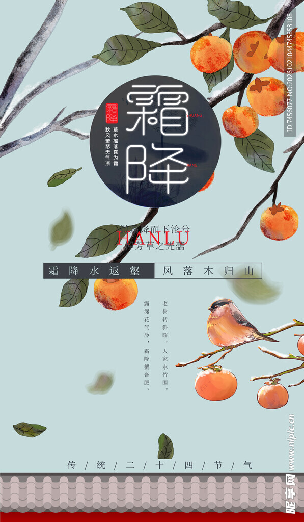 霜降节气手绘柿子海报