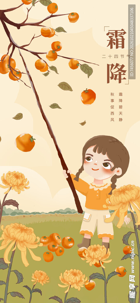 霜降节气摘柿子插画