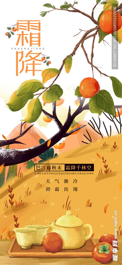 霜降节气柿子国风插画