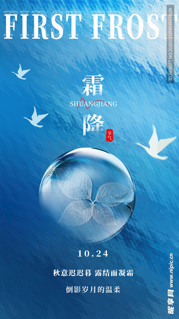 寒露节气创意海报