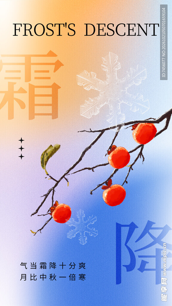 霜降节气柿子海报
