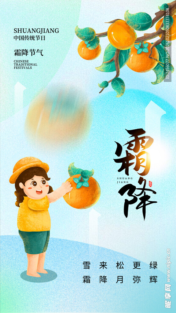 霜降节气摘柿子插画