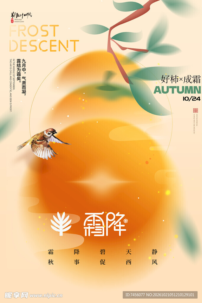 霜降柿子节气创意海报