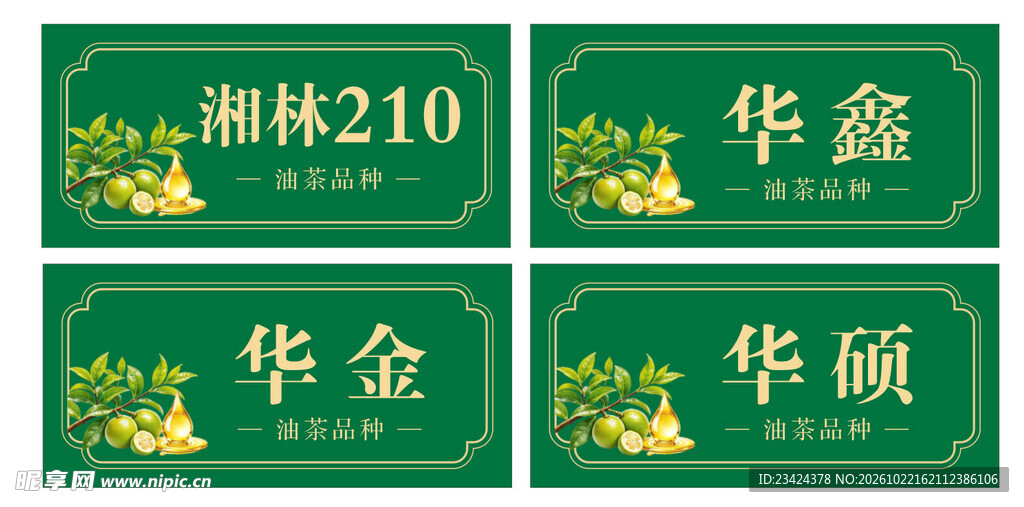 油茶品种标识牌