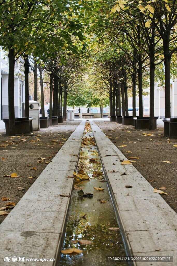 林荫步道景观水渠