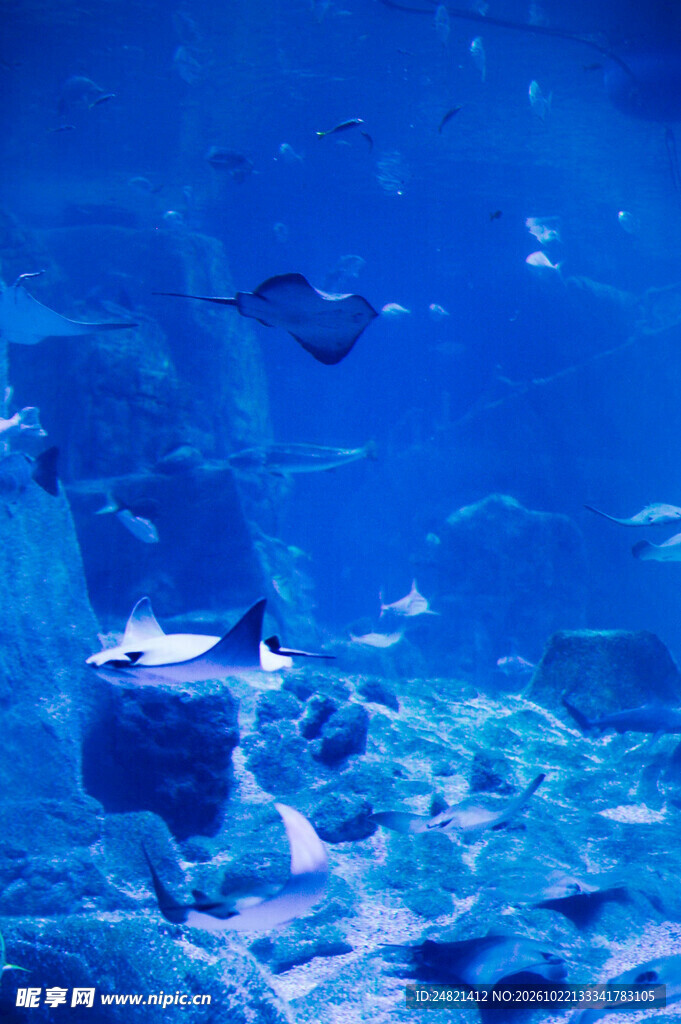 蓝色水纹朦胧背景