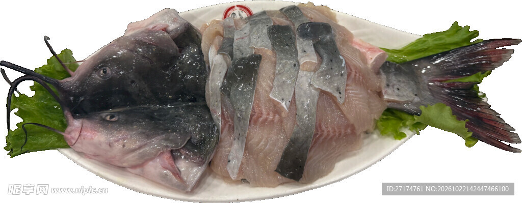 开背生鲜整鱼食材