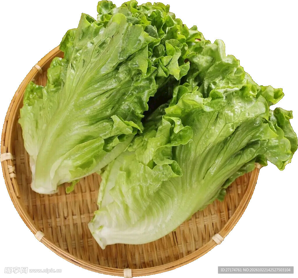 竹篮里的新鲜生菜