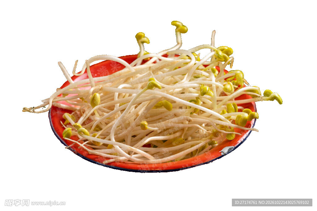 一盘新鲜黄豆芽