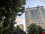 城市楼宇绿树街景