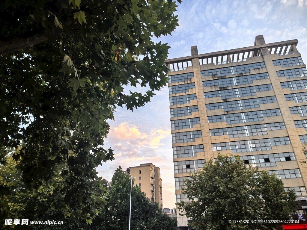 城市楼宇绿树街景