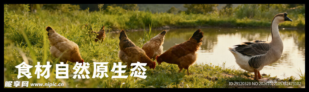 山野风灯箱画面