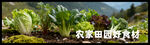 山野风灯箱画面