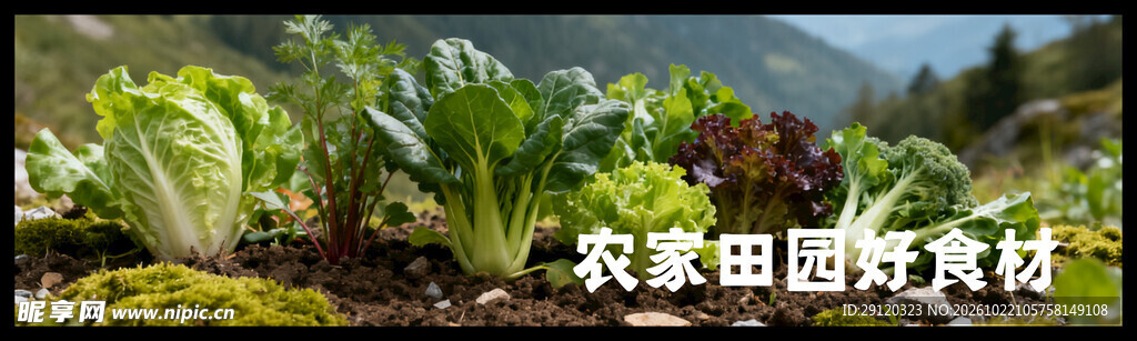 山野风灯箱画面