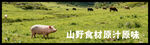 山野风灯箱画面
