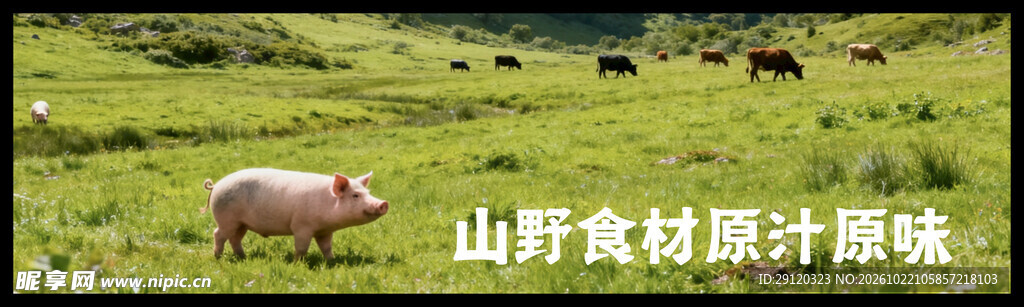 山野风灯箱画面